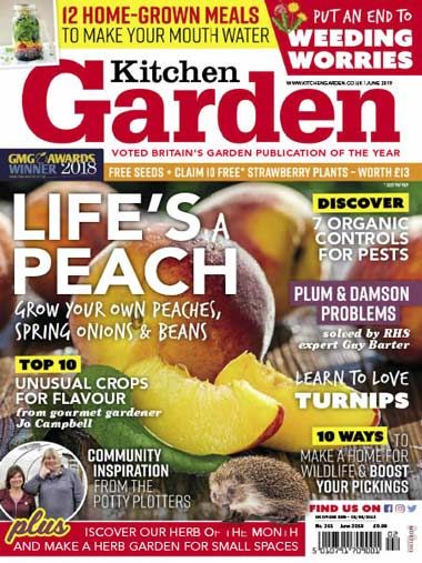 garden